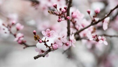 Прогноз погоды на 9 апреля: понижение ночной температуры ожидается на юге Казахстана