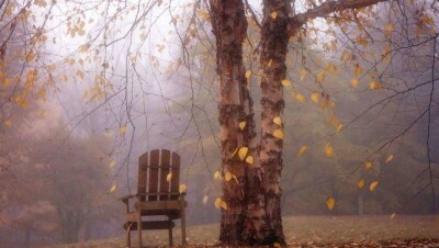 Туман, гололедица и дождь со снегом ожидаются 15 октября на большей части Казахстана