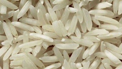 Рисоперерабатывающий завод открыли в Кызылординской области