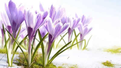 Прогноз погоды на 23 марта: на севере Казахстана пройдёт снег