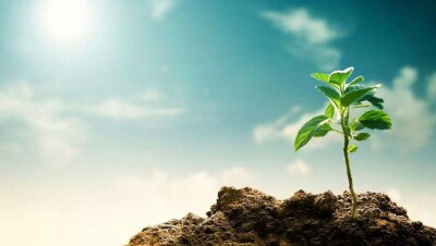 Почти 180 компаний из 36 стран мира объявили о намерении бороться с изменениями климата