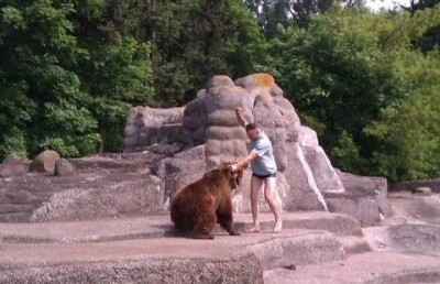 Мужчина в трусах подрался с медведем в польском зоопарке и пропал 