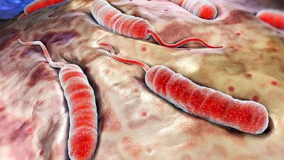 650 студентов из Индии обследовали на холеру в Алматы