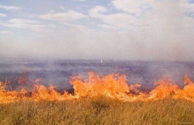 Россияне жалуются акиму Атырауской области на запах гари от пожаров в степи