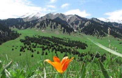 Суд в очередной раз отказал экологам в удовлетворении иска по Кок-Жайляу