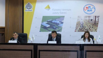Крупнейшую в Центральной Азии птицефабрику запустят в 2018 году в казахстанском Макинске 