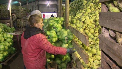 Сельхозкооперация личных подсобных хозяйств не оправдала ожиданий – Шукеев 