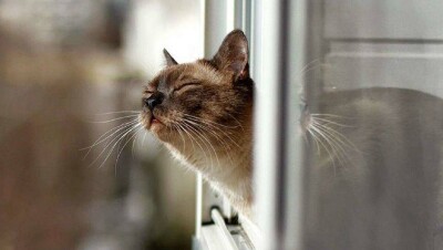 Прогноз погоды на 19 марта: погода без осадков ожидается на большей части Казахстана