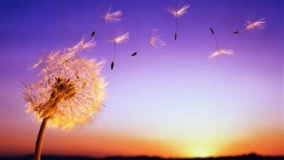 Прогноз погоды на 6 мая: на юге страны ожидается ветер и пыльная буря