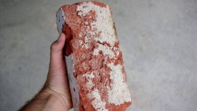 Хулиган напал с камнем на продавца киоска, заступившегося за женщину в Алматы