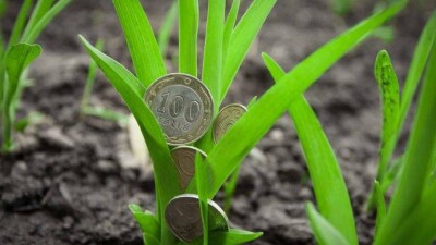 В Минсельхозе ответили фермерам, которые не могут подать онлайн-заявки на субсидии