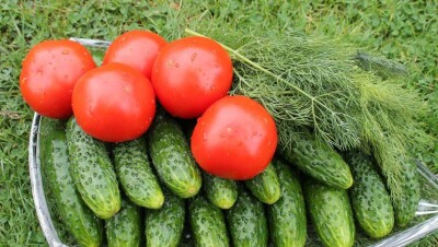 Министр нацэкономики заподозрил продавцов огурцов и помидоров в ценовом сговоре