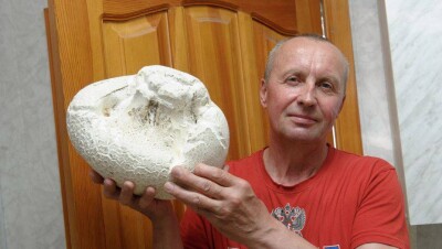 В огороде костанайца вырос гигантский гриб-дождевик