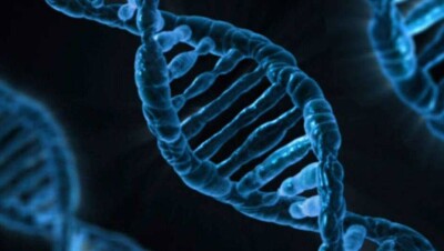 ВОЗ: редактирование генов человеческих зародышей безответственно