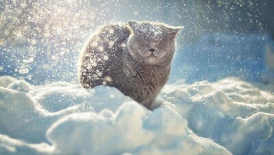 Прогноз погоды на 19 января: осадки пройдут почти во всех районах Казахстана