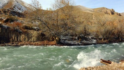 Значительное повышение уровня подземных вод ожидают весной в Алматинской области