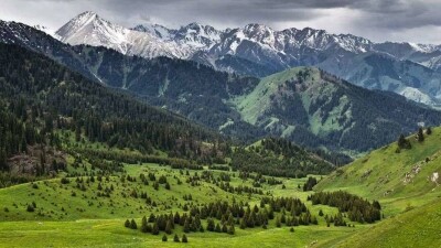 В ООН поддержали решение Токаева о запрете строительства курорта в урочище Кок-Жайляу 