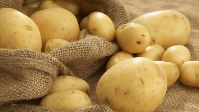 Иностранцы попросили Казахстан выращивать картофель, пригодный для фри