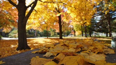 Тёплая и сухая погода ожидается 23 октября на большей части Казахстана