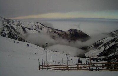 Краснокнижные горные козлы попали на камеры наблюдения заснеженного Шымбулака