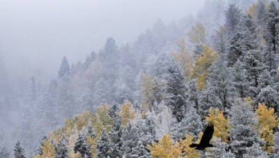 Погода с осадками сохранится на большей части страны 1 ноября