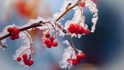 Штормовое предупреждение в семи областях страны объявили синоптики на 28 октября