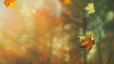 В Нур-Султане и шести регионах из-за ветра объявили штормовое предупреждение