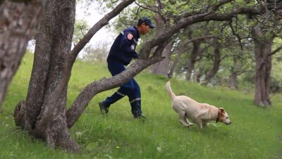 В Костанае вторые сутки ищут пропавшего 10-летнего мальчика