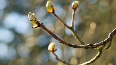Прогноз погоды на 8 апреля: тепло и сухо будет на большей части Казахстана