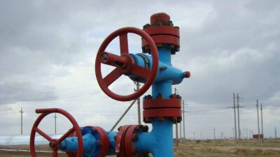 Туркмения меняет парадигму развития: чем это грозит Казахстану