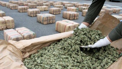 В день инаугурации Трампа в Вашингтоне будут раздавать сигареты с марихуаной