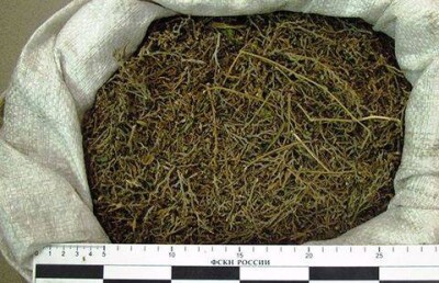 Наркоман из Кемерово попытался съесть мешок марихуаны