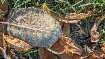 Прогноз погоды на 12 октября: ночные заморозки ожидаются на юге страны