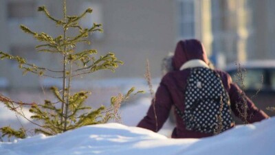 В Астане отменили занятия для учащихся начальных классов второй смены