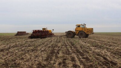 Сельское хозяйство в четырёх областях Казахстана назвали наиболее коррумпированным