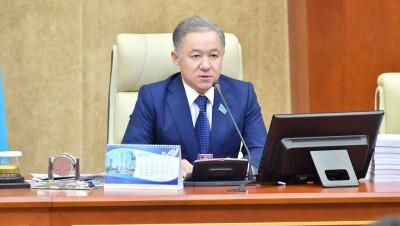 Нигматулин о волоките с разработкой программы "Жас маман": За это время можно выносить ребёнка 