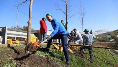 Семь тысяч деревьев высадили за один день в Алматы