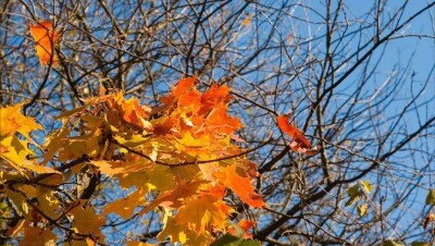 О погоде в Казахстане в понедельник рассказали синоптики