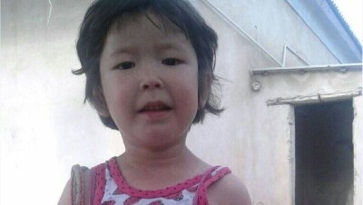 В Мангистауской области четырёхлетняя девочка одна провела ночь в степи