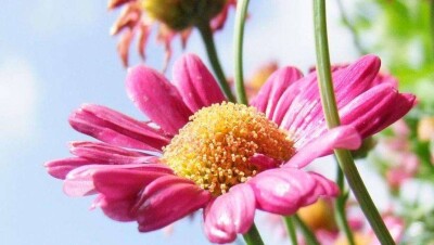 Прогноз погоды на понедельник: последний день июля будет жарким