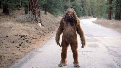 Кісікиік (алмасты) туралы айтылмаған әңгімелер