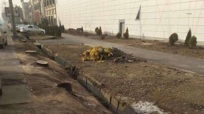 Прокуратура Алматы начала расследование по факту ночной вырубки деревьев возле Sulpak