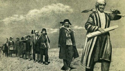 Кендырная эпопея: как в Казахстане пытались усмирить дикорастущее растение