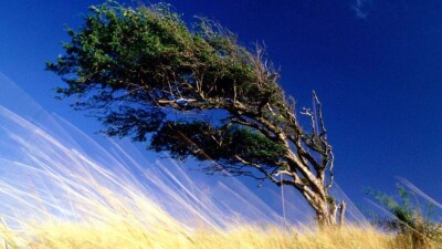 Прогноз погоды на 1 августа: сильный ветер ожидается во всех областях Казахстана