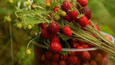 Синоптики рассказали, какой будет погода в воскресенье, 25 июня