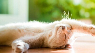 Погода без осадков ожидается на большей части Казахстана 20 мая