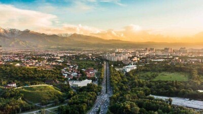 На проспекте Абая в Алматы вырубят 47 деревьев, которые признали высохшими и потерявшими вид