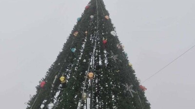 "Выглядит скверно". В акимате Семея не приняли работу подрядчика, установившего ёлки на площадях