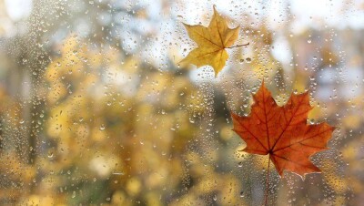 Прогноз погоды на 25 октября: почти на всей территории Казахстана пройдут осадки