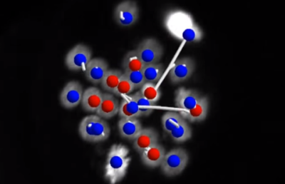 Видео сверхвысокого разрешения о зарождении жизни сняли учёные